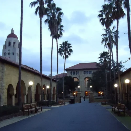 Palm trees and university buildings on the Stanford campus in California.