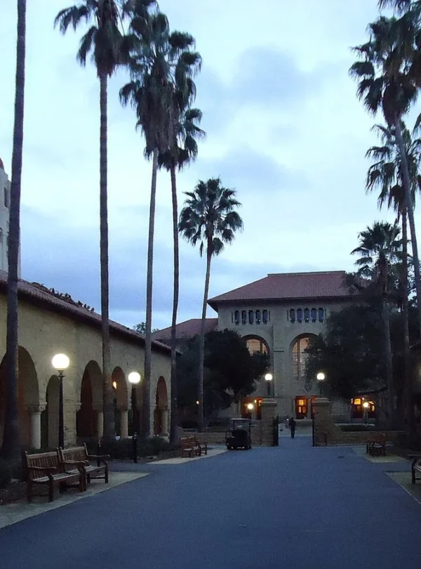 Palm trees and university buildings on the Stanford campus in California.
