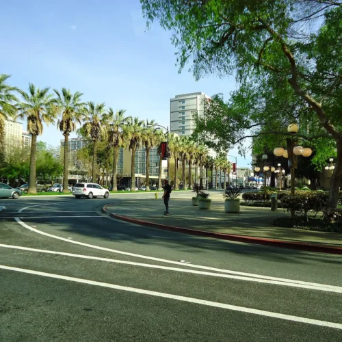 Palm-lined streets and parkland in downtown San Jose, California.